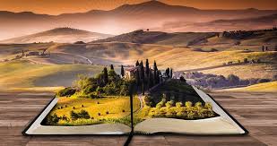 Book Fair